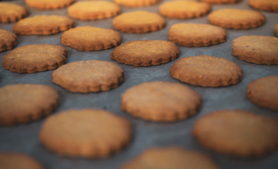 Making homemade cookies