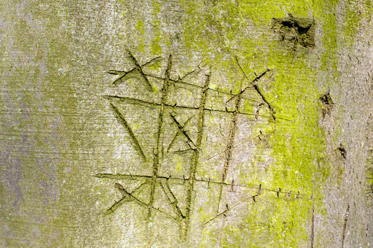 Notched beech tree bark with the game noughts and crosses, boter kaas en eieren, tic-tac-toe, in The Netherlands.