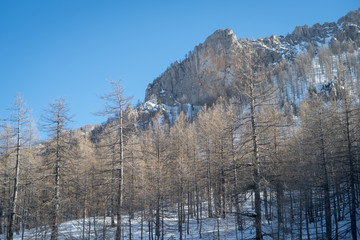 Casterino, Mercantour national park, France