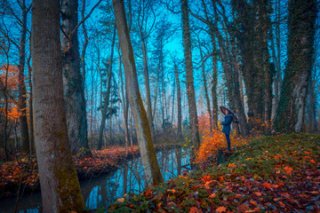 Fototapete bei efototapeten.de bestellen   