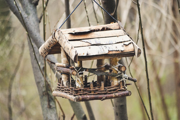 Bird table hanging on a rope