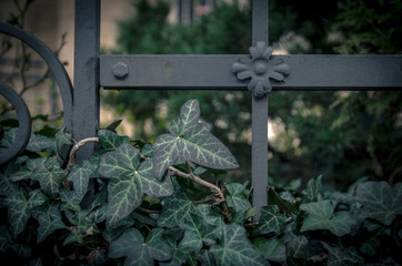 Detail of old metal fittings