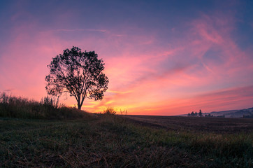 Beautiful sunrise early in summer