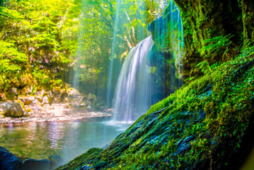 Fototapeta na wymiar Nabegatai, waterfall in forest, Kumamoto Japan