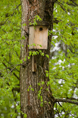Wooden birdhouse on a tree