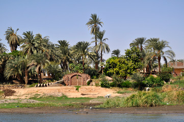 Houses on the side of the Nile River, Egypt