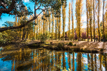 Obraz premium Colourful nature in the Autumn Fall season