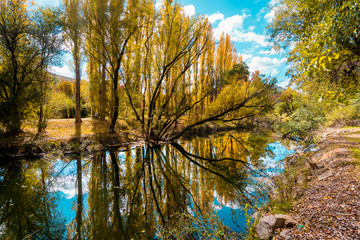 Colourful nature in the Autumn Fall season