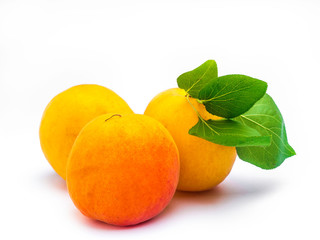 apricots isolated on white