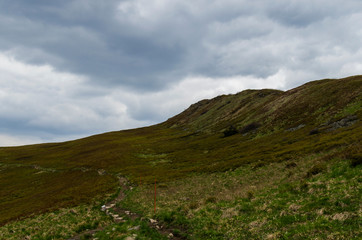 bieszczady połoniny 