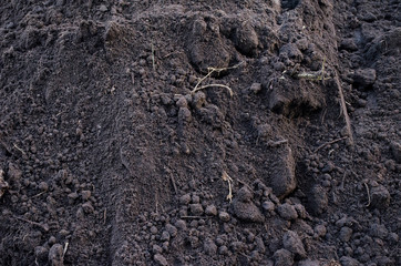 Texture of dark fertile land with grass roots