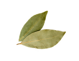 Dried bay leaf isolated on white background