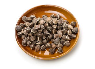 Organic Wingless Moringa (Moringa oleifera) seeds on white background