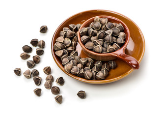 Organic Wingless Moringa (Moringa oleifera) seeds on white background