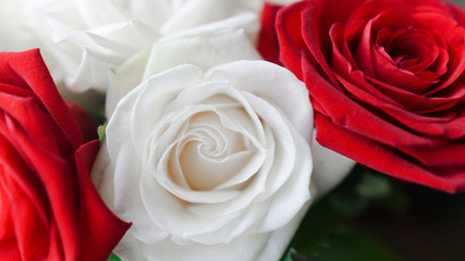 background of a bouquet of flowers red and white roses