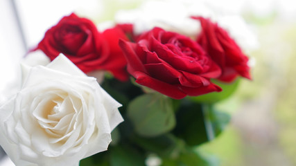 bouquet of beautiful festive flowers of red and white roses