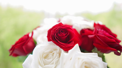 bouquet of beautiful festive flowers of red and white roses