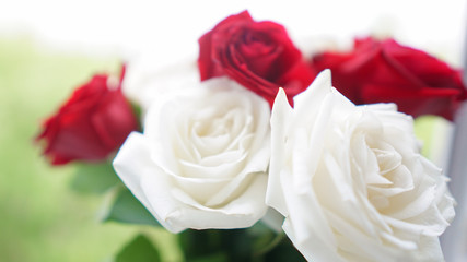 Fototapeta premium bouquet of beautiful festive flowers of red and white roses