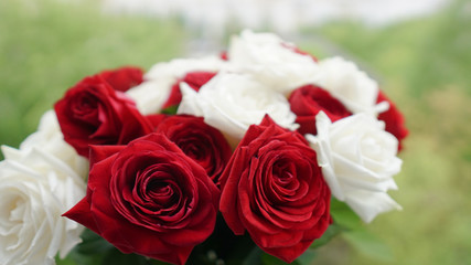 beautiful bouquet of red and white roses