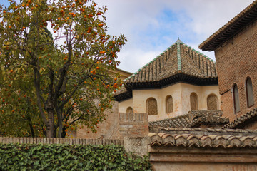 Fototapeta na wymiar Beautiful garden with citrus trees and moorish buildings in Alcazar of Seville, Andalusia, Spain