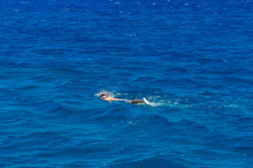 Fototapeta premium Tourist snorkeling in a Red sea. Summer vacation concept