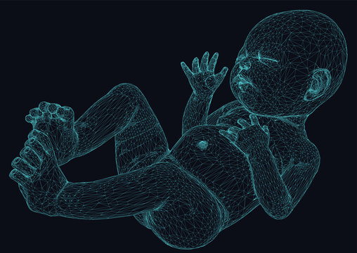 wireframe illustration of a newborn baby