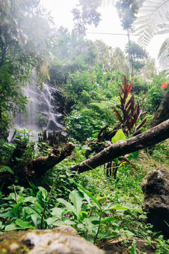 Gitgit waterfall at Bali, Indonesia