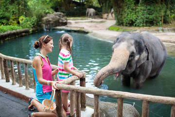 Kids feed elephant in zoo. Family at animal park. - obrazy, fototapety, plakaty