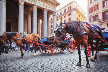 Rome, Italy. Horse in harness with coach for entertaining touristic strolls and city tours at Rotunda square (Piazza della Rotonda) in front of Pantheon ancient roman building with columns.
