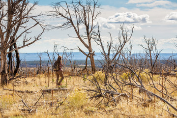 Woman in dead tree forest
