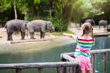Kids feed elephant in zoo. Family at animal park. - obrazy, fototapety, plakaty