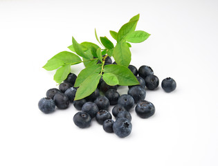 Owoce borówki z liśćmi blueberry