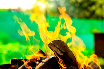 Bright orange flames on the logs