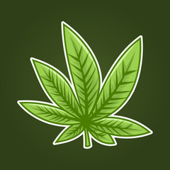 Flat Vintage Hand Drawn With Outline Marijuana Cannabis Weed leaf Plant for Medicine Mascot Vector Illustration 