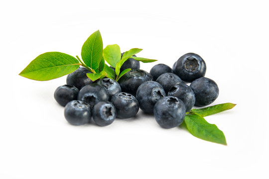Owoce bor&oacute;wki z liśćmi blueberry