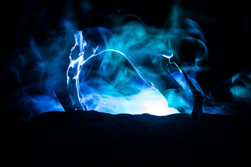 Animal bone in dark Halloween night with fog and light on background / Selective focus and space...