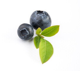 Owoce borówki z liśćmi blueberry