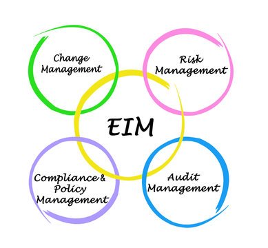 Four components of EIM Audit