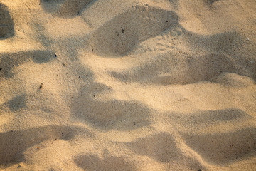 Fototapeta premium Sand texture. Abstract sand pattern. Summer background.