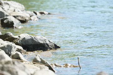 rocks in blue flowing water at a riverbank at a sunny day