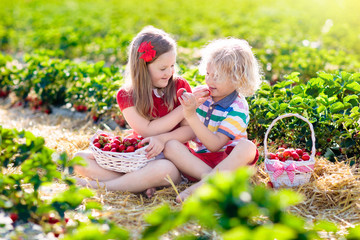 Kids pick strawberry on berry field in summer