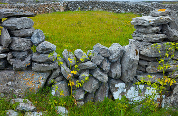 Inishmaan Island - Inis Oirr. Aran Islands, Galway County, West Ireland, Europe