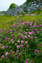 Fototapeta na wymiar Dún Chonchúir Fort. Inishmaan Island - Inis Oirr. Aran Islands, Galway County, West Ireland, Europe