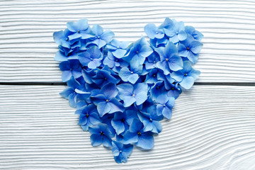  composition: heart of the petals of hydrangea