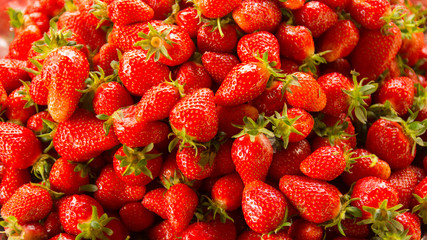 background from the freshly harvested red strawberries