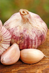 Fototapeta premium Garlic in natural background