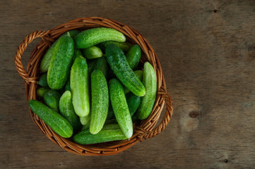 Green cucumbers in a basket on the background of a wooden table.