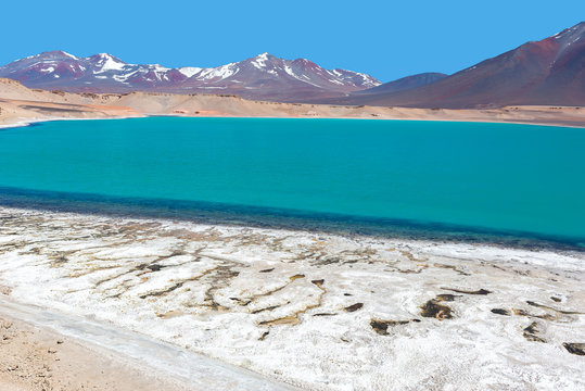 Laguna Verde (Green Lagoon) salt lake, Paso de San Francisco, Atacama Region, Chile