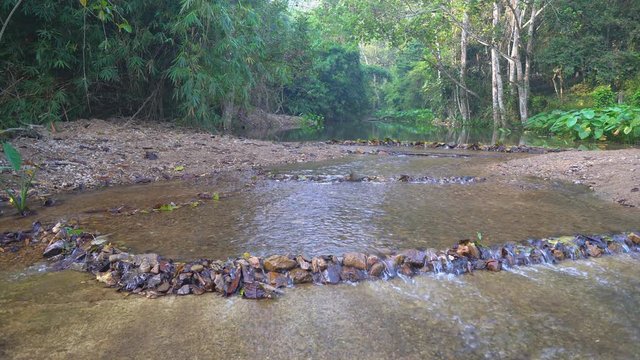 clear water stream or weir dam with tree and rock or stone in green jungle or forest for summer holiday relax and travel vacation trip at Ban Krang Camp in Kaeng Krachan National Park Thailand on 4K