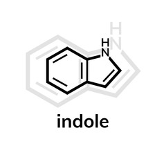 Indole vector icon with shadow on white background